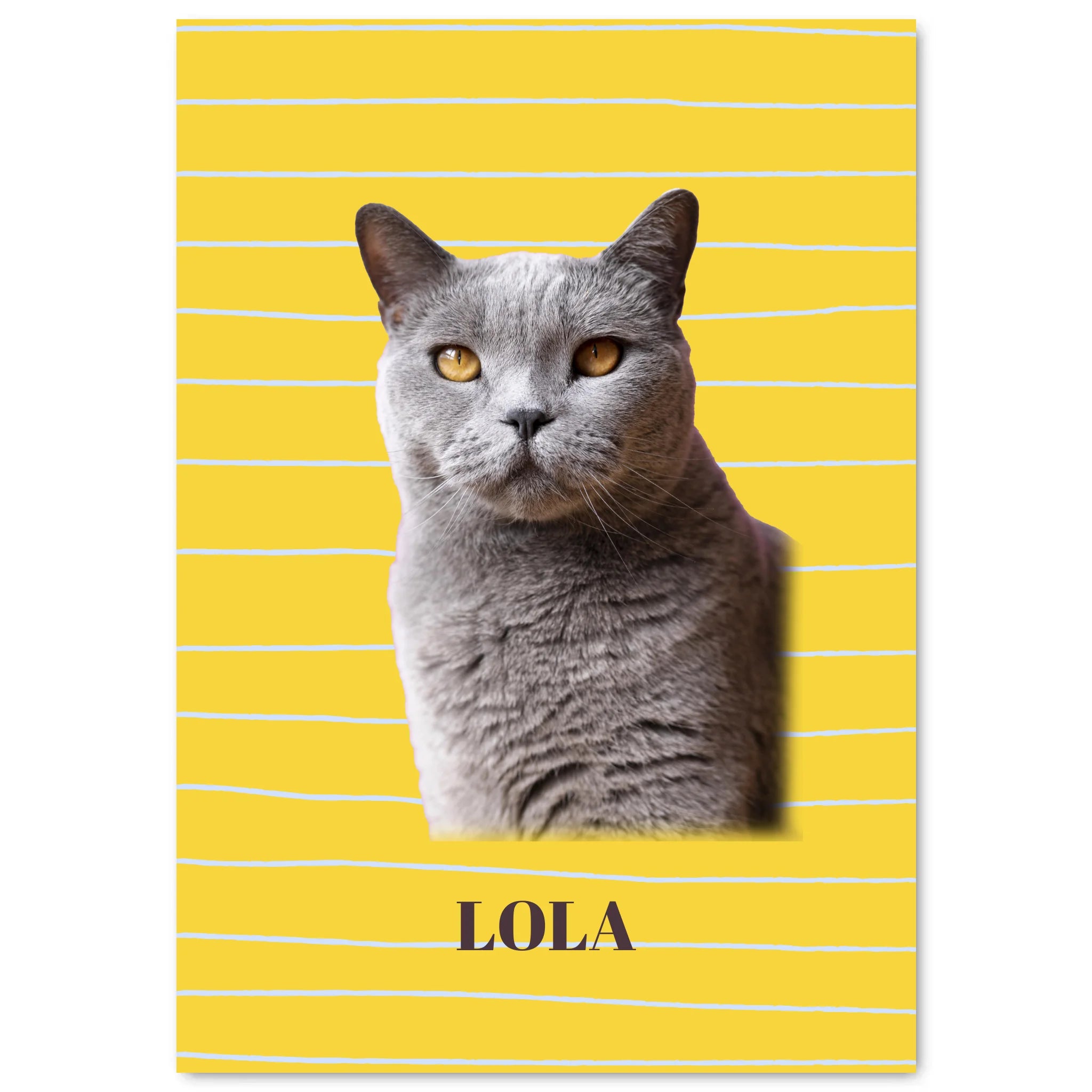 Simple Mockup - 70100