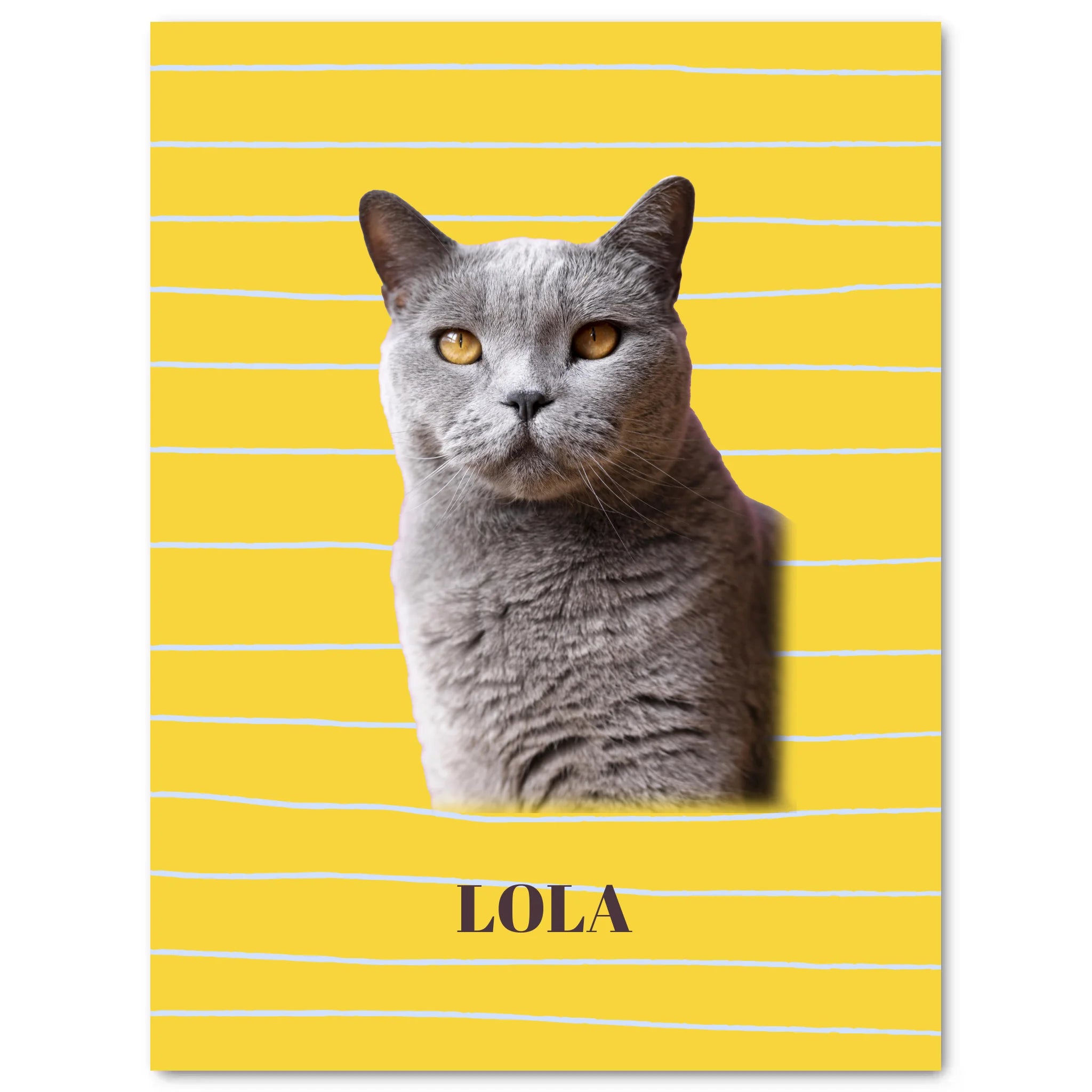 Simple Mockup - 3040