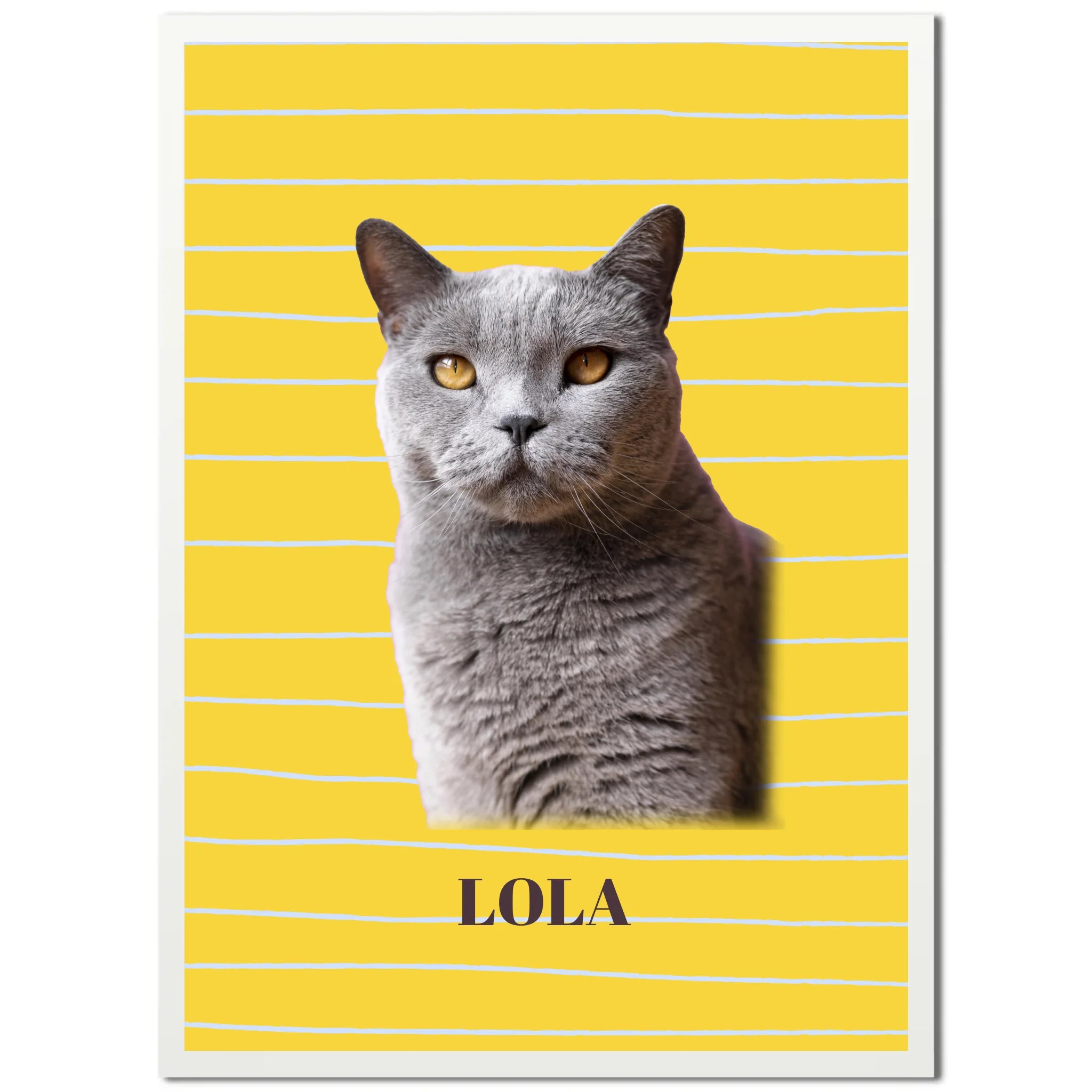 Mockup-Framed-White-5070