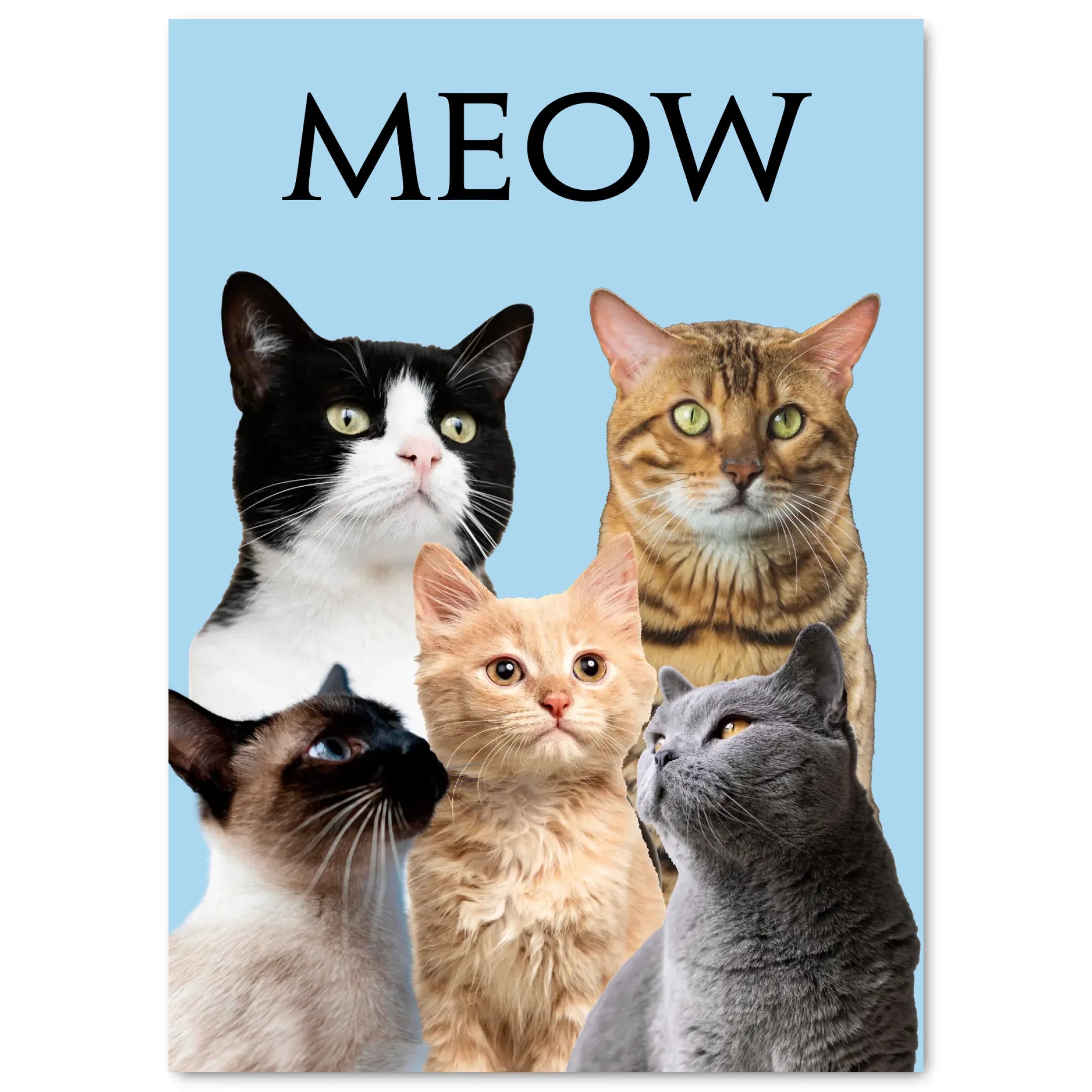 Simple Mockup - 5070