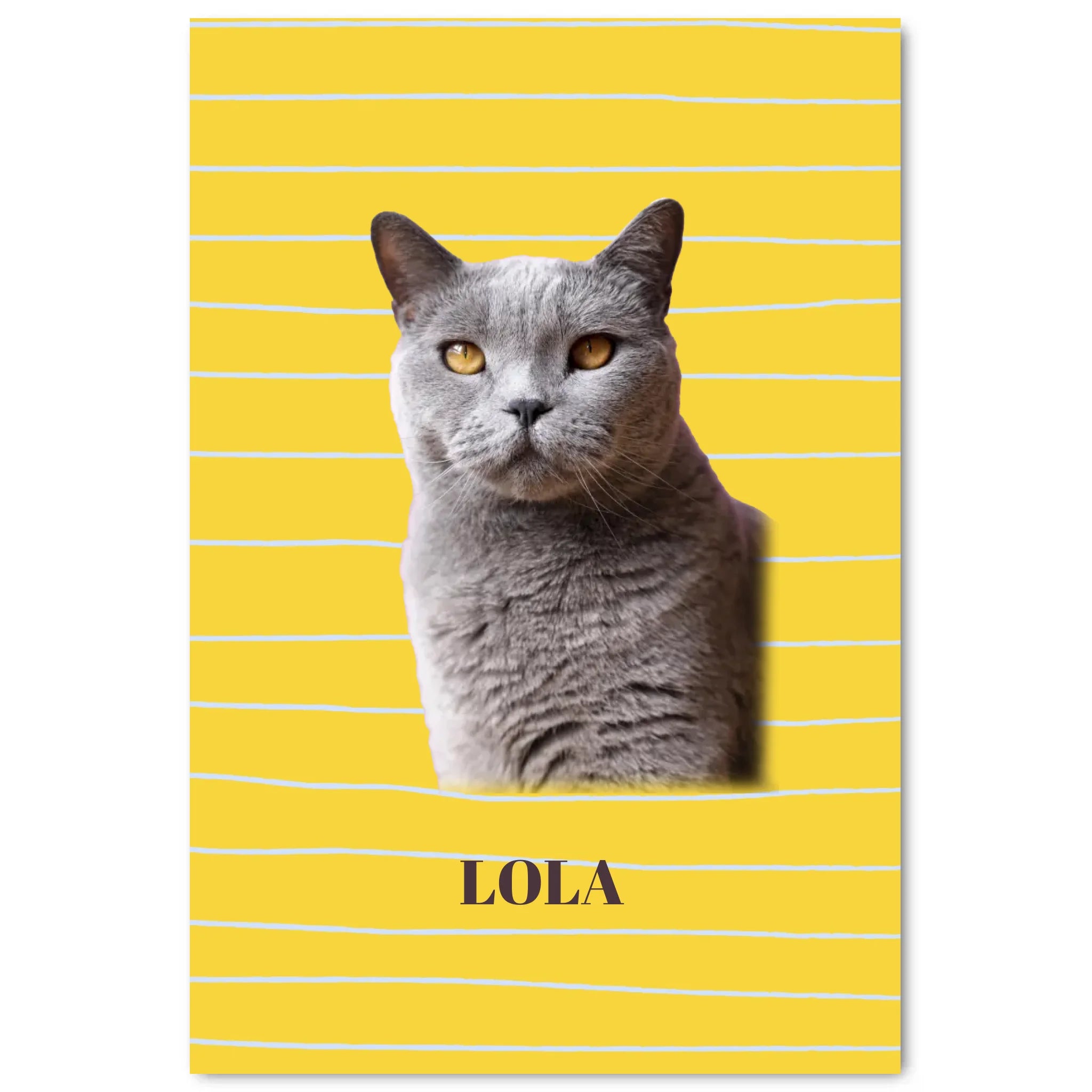 Simple Mockup - 2030-4060