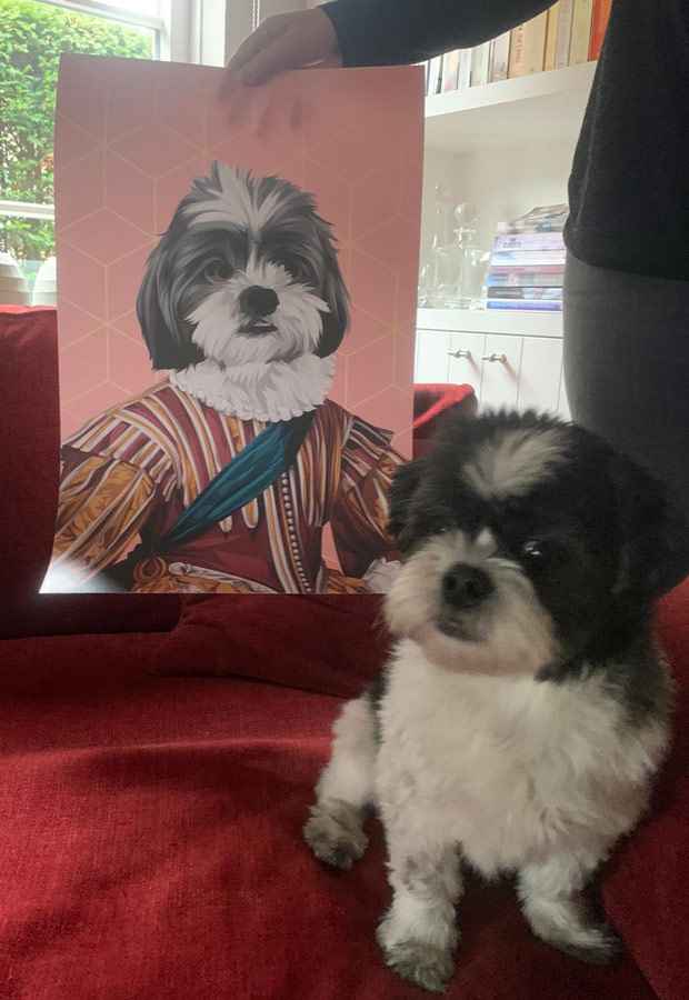 Pet Review Image