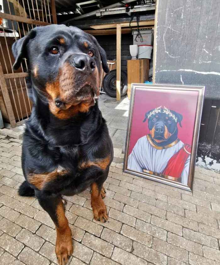 Pet Review Image