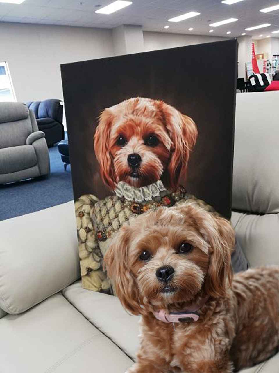 Pet Review Image